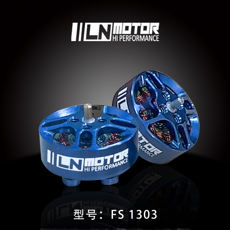 Motor FS1303.5